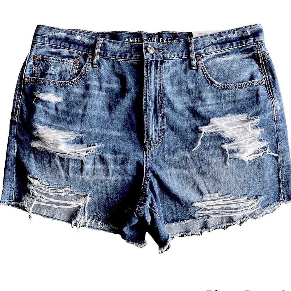 AE Denim 90s Boyfriend Jean Ripped Short